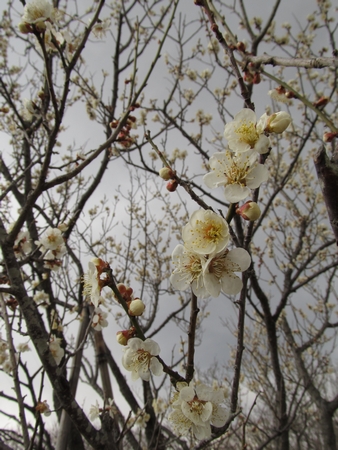 f:id:apoca:20120407142517j:image