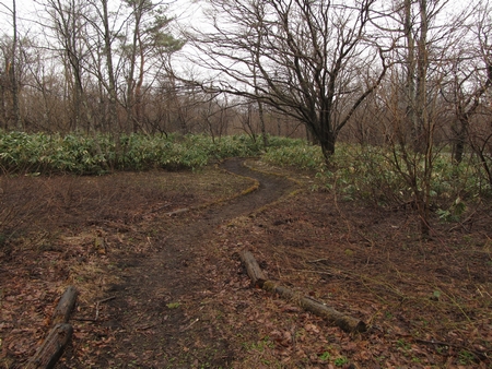 f:id:apoca:20120423201042j:image