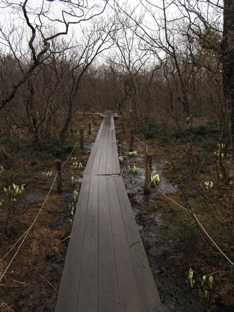 f:id:apoca:20120423201046j:image