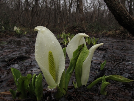 f:id:apoca:20120423201048j:image