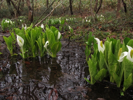 f:id:apoca:20120423201051j:image