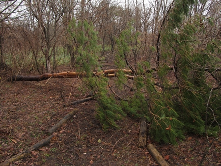 f:id:apoca:20120423201053j:image