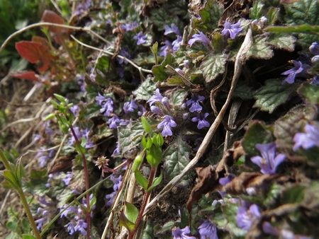 f:id:apoca:20130412215323j:image