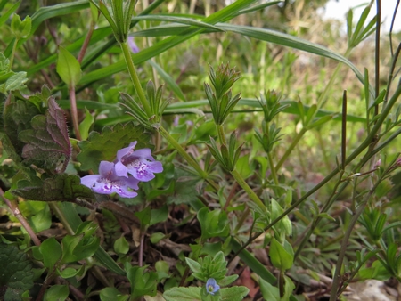 f:id:apoca:20130412215324j:image