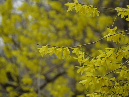 f:id:apoca:20130412215326j:image