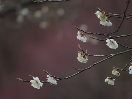 f:id:apoca:20130412215327j:image