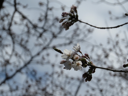 f:id:apoca:20130413193158j:image