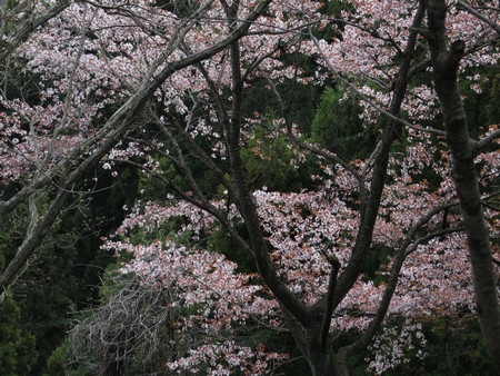 f:id:apoca:20130428223209j:image
