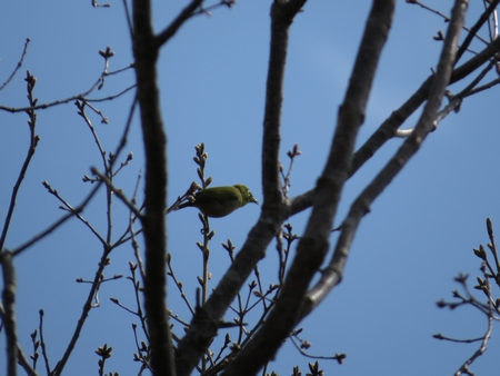 f:id:apoca:20130428223212j:image