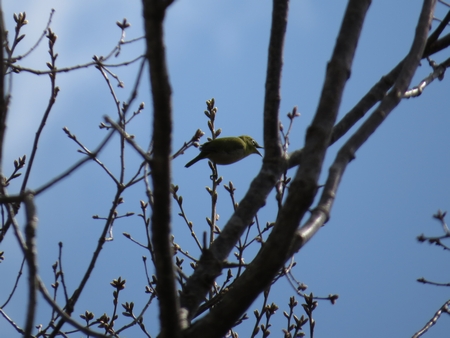 f:id:apoca:20130428223213j:image