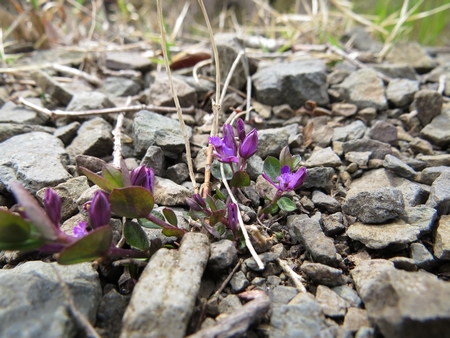 f:id:apoca:20130428223217j:image
