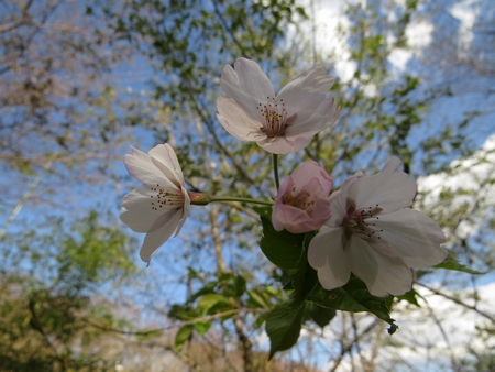 f:id:apoca:20130428223224j:image