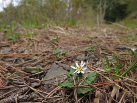 f:id:apoca:20130504220914j:image