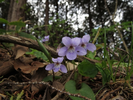 f:id:apoca:20130504220916j:image