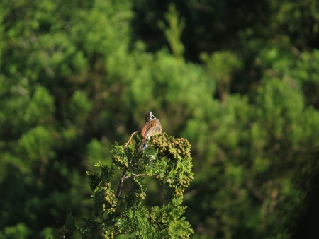 f:id:apoca:20130609201048j:image