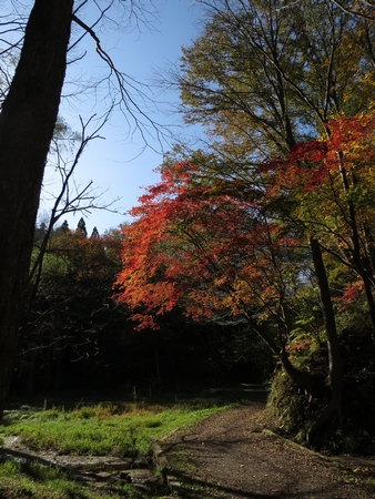 f:id:apoca:20131117203348j:image