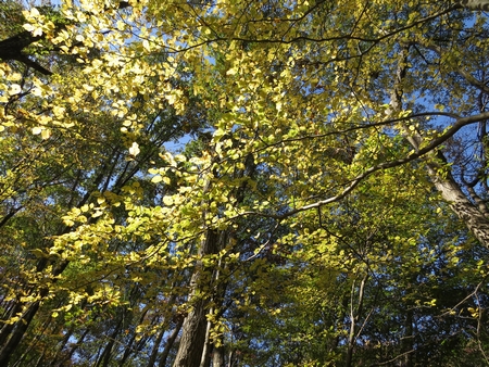 f:id:apoca:20131117203349j:image