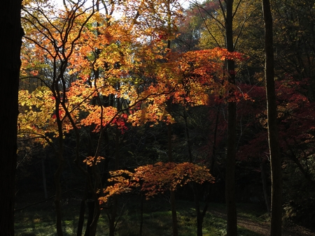 f:id:apoca:20131117203353j:image