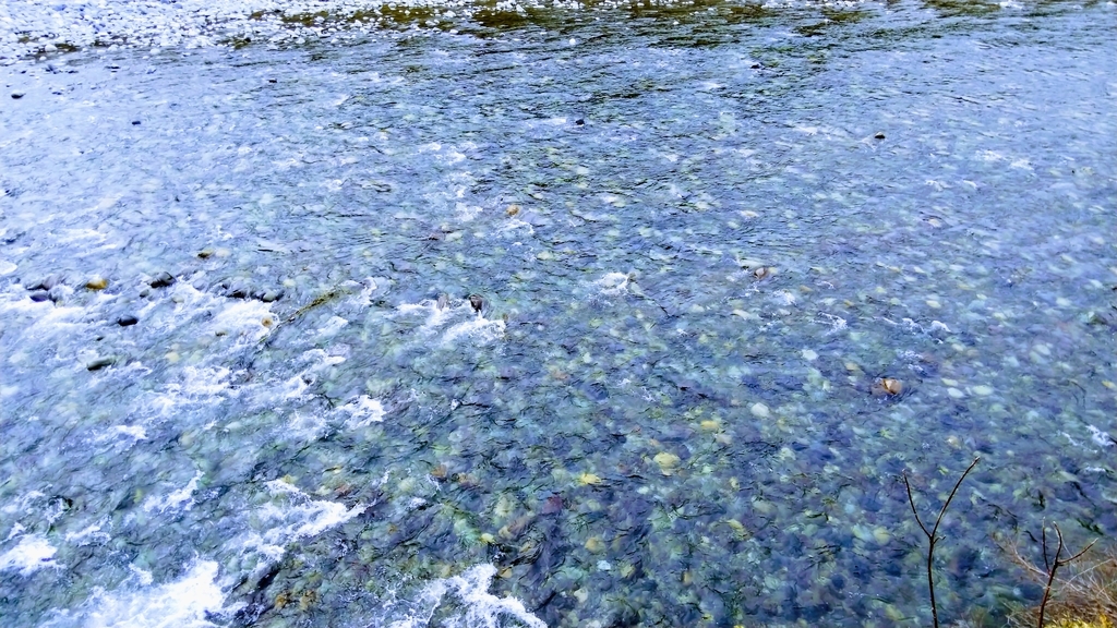 f:id:apocket:20190215232332j:plain