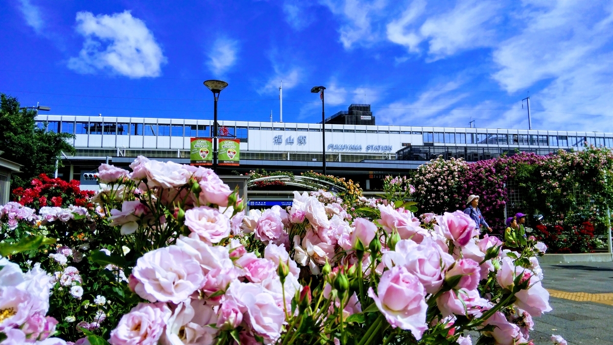 f:id:apocket:20190714061945j:plain
