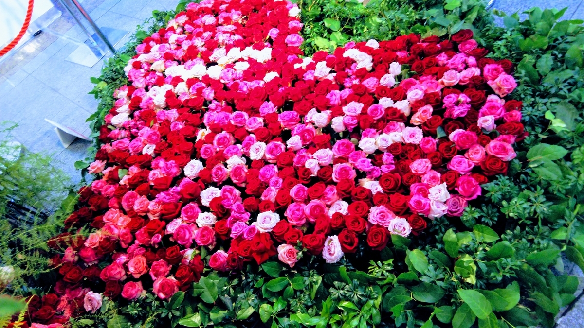 f:id:apocket:20190714062508j:plain