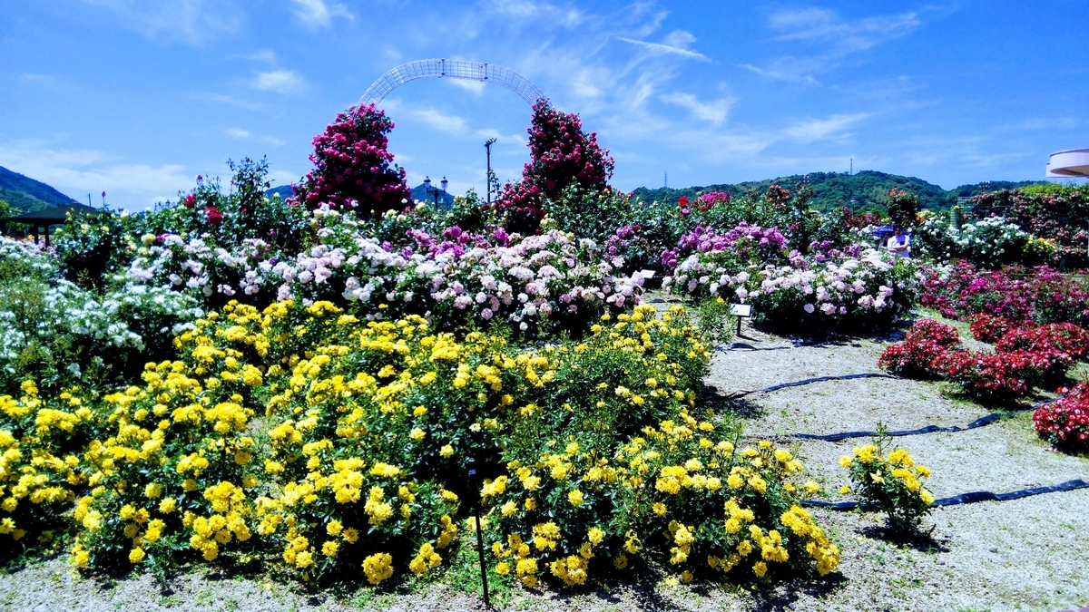 f:id:apocket:20190714063757j:plain