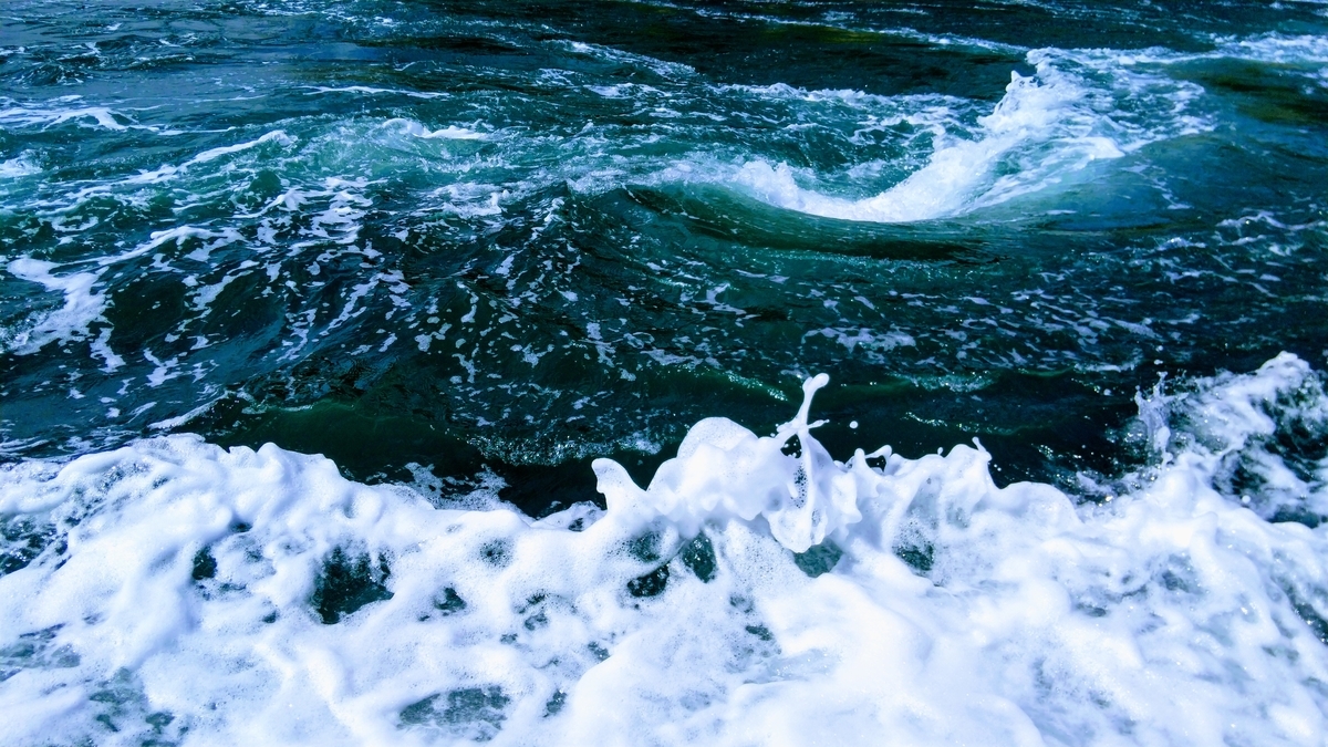 f:id:apocket:20190714072219j:plain