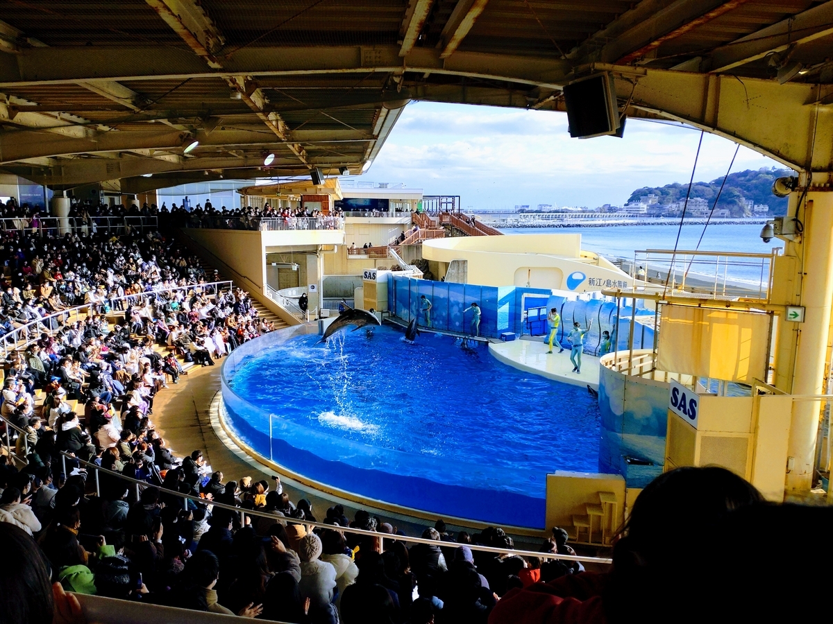 額縁　コストコ製 コストコのパズルは絶対欲しい限定品！サイズ感やピッタリの額縁を紹介