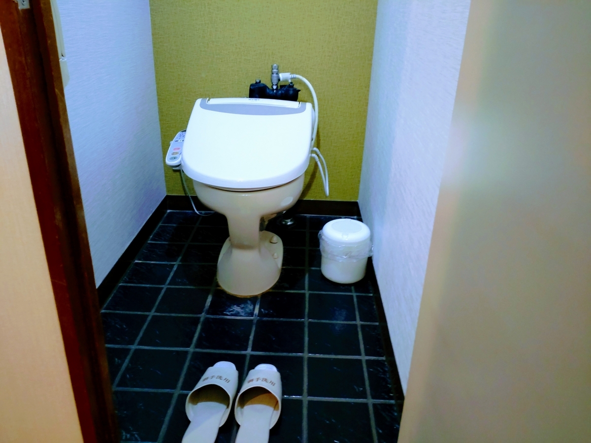 草津温泉 ホテル一井 別館 トイレ