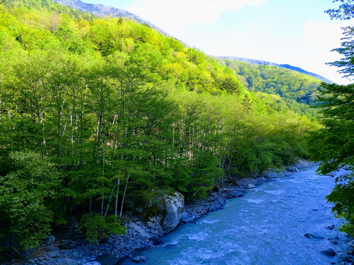 井川蒸留所　大井川の源流