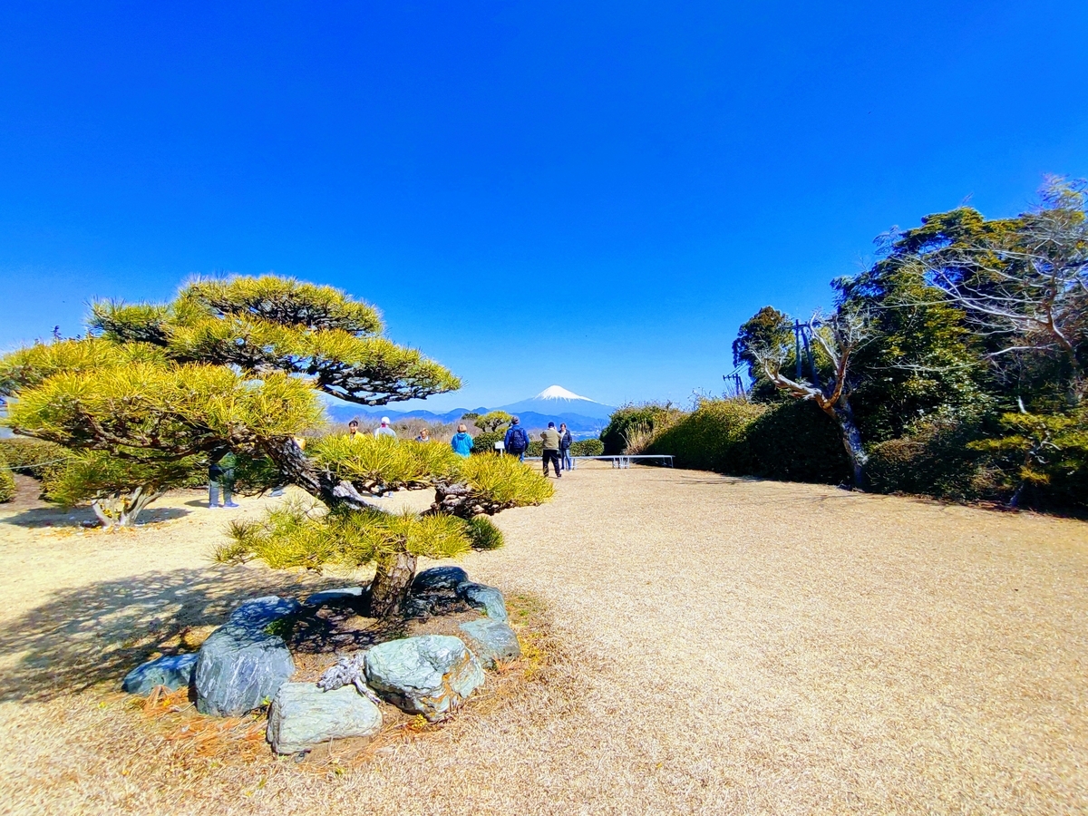 日本平お茶会館