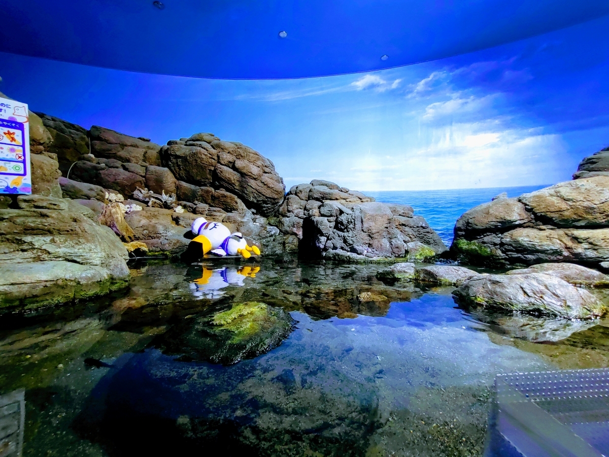 横浜八景島シーパラダイス