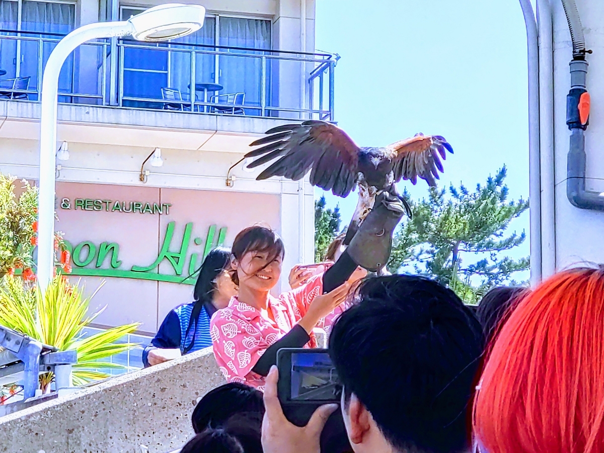 横浜