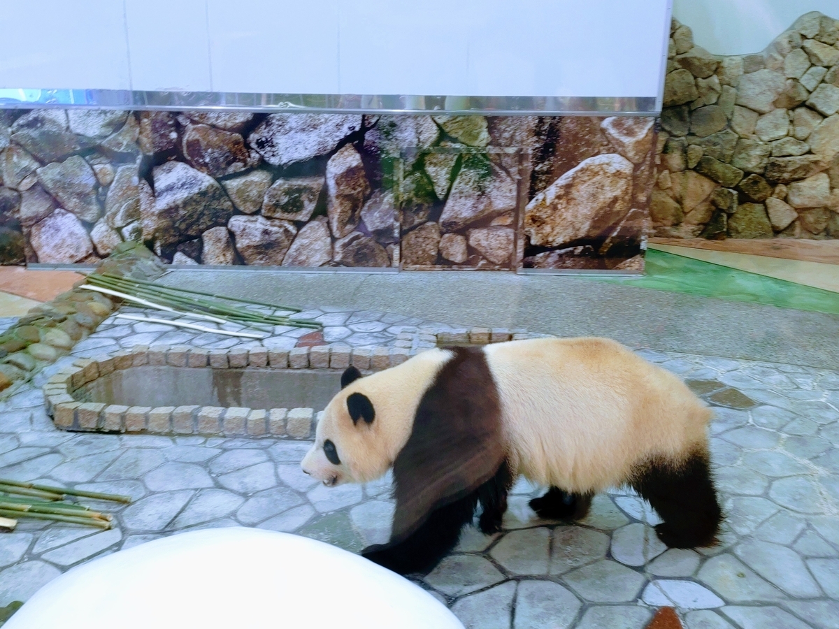 アドベンチャーワールド