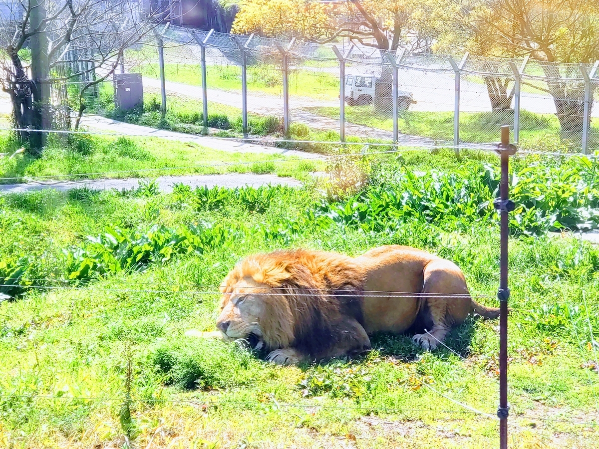 アドベンチャーワールド