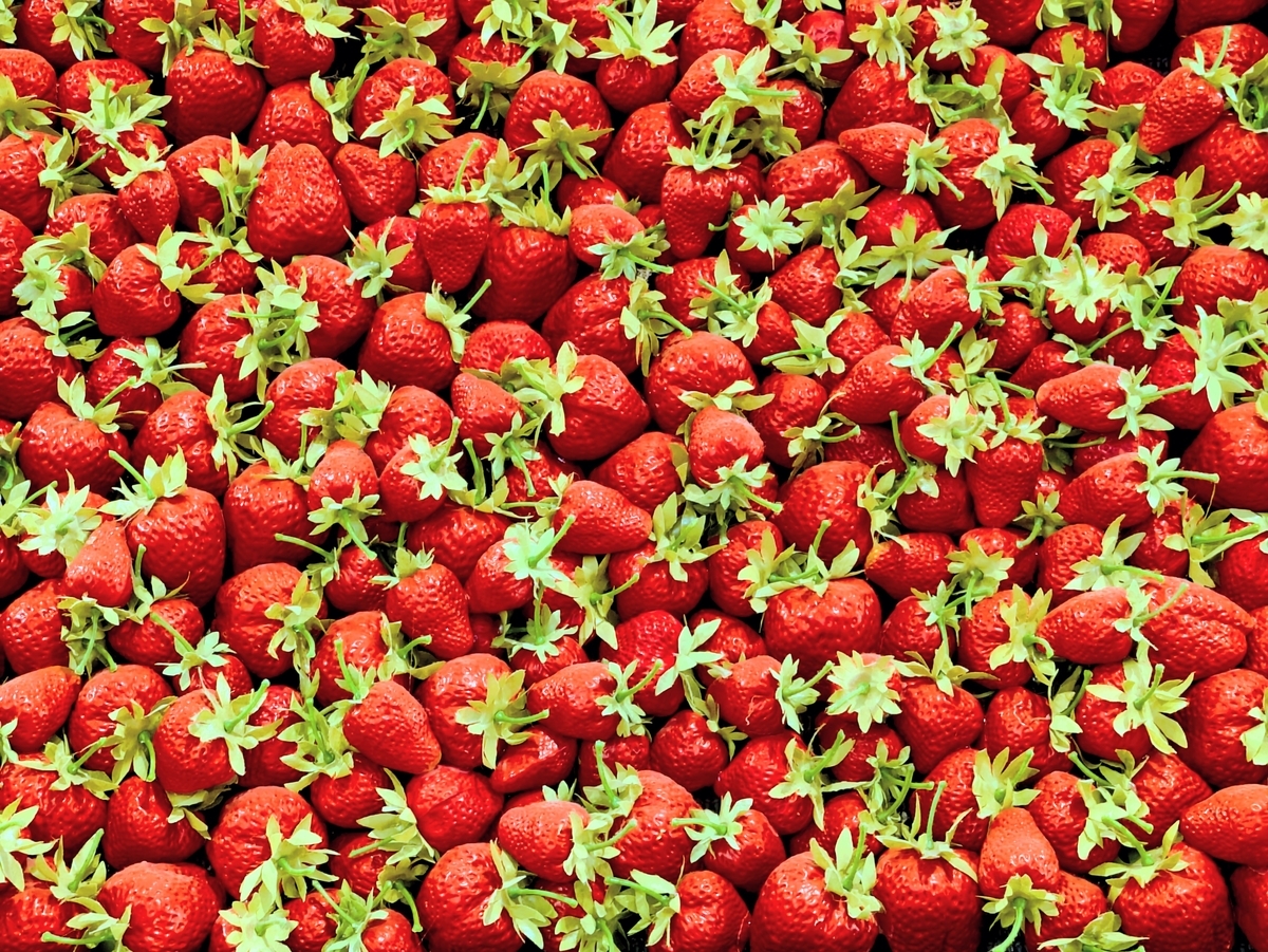 道の駅伊豆のへそ