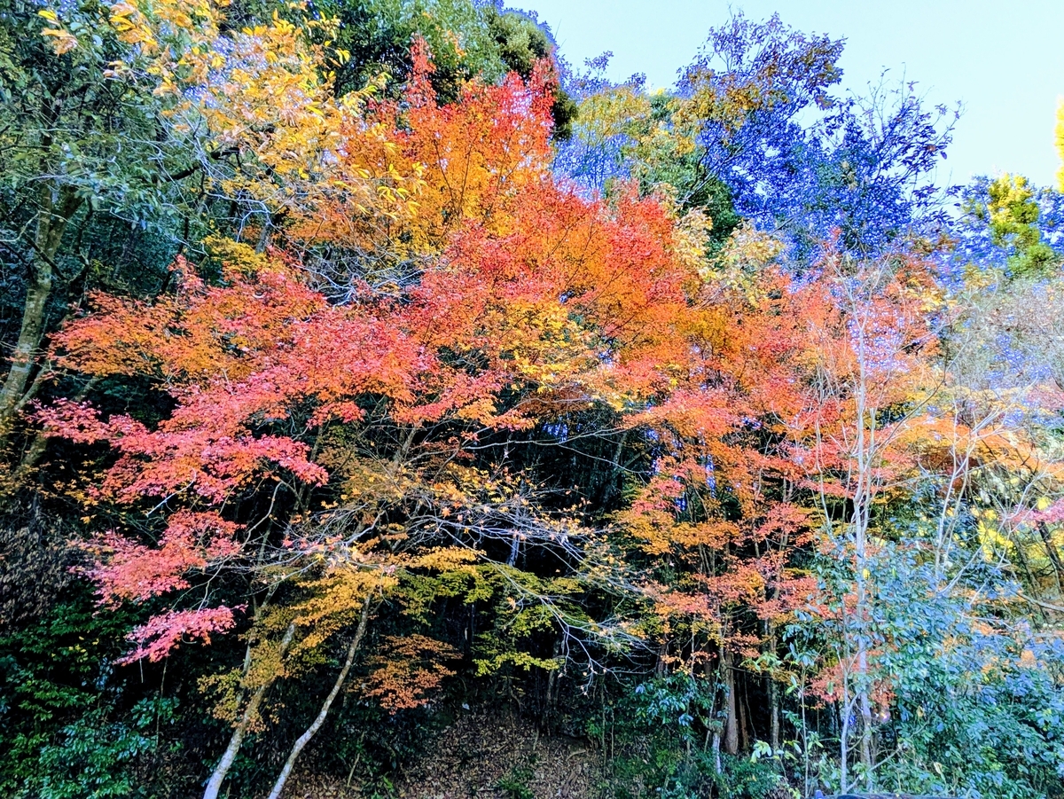 大矢田神社