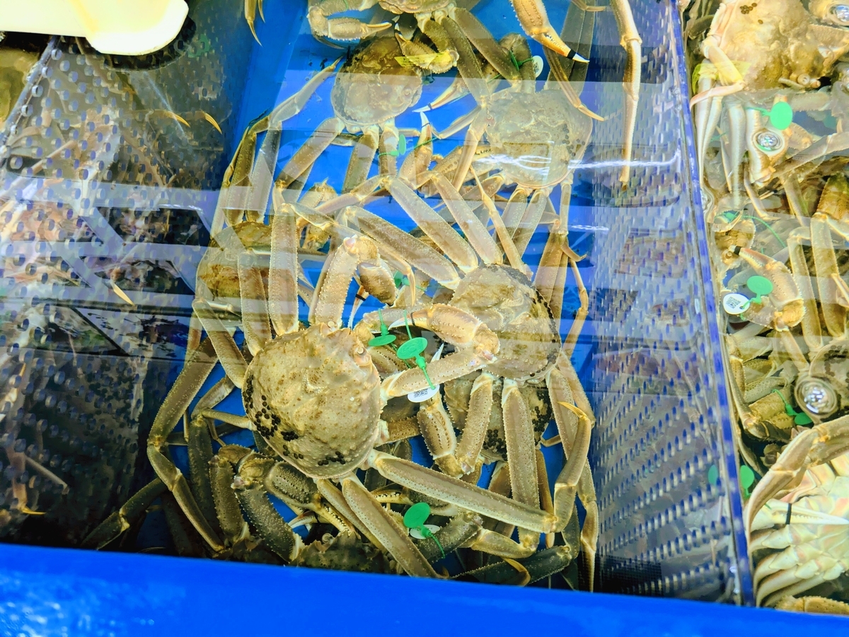 平七水産株式会社