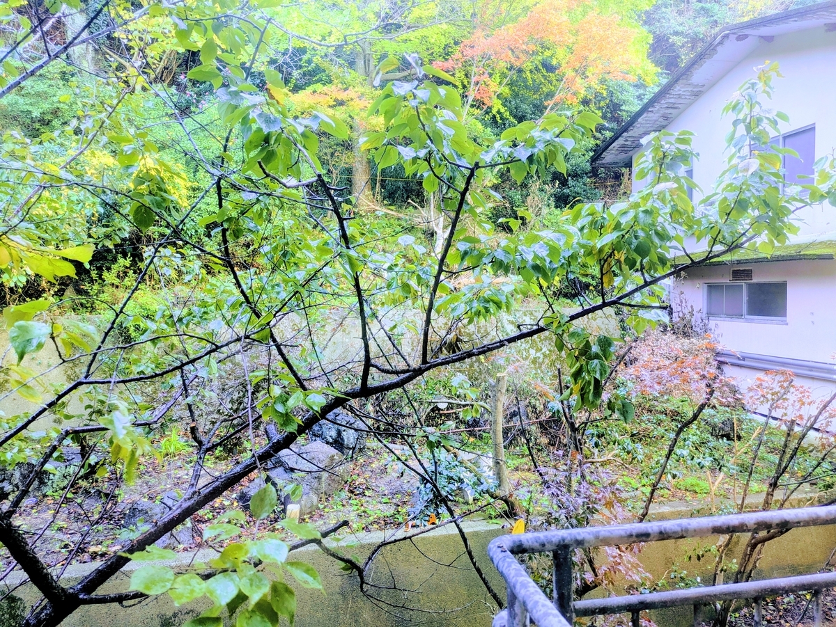 昭恋館よ志のや