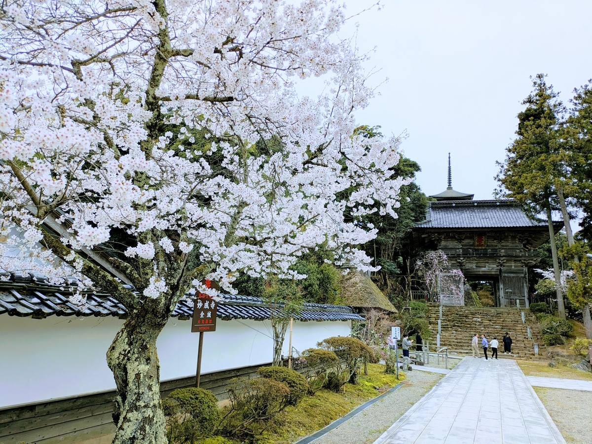 妙成寺