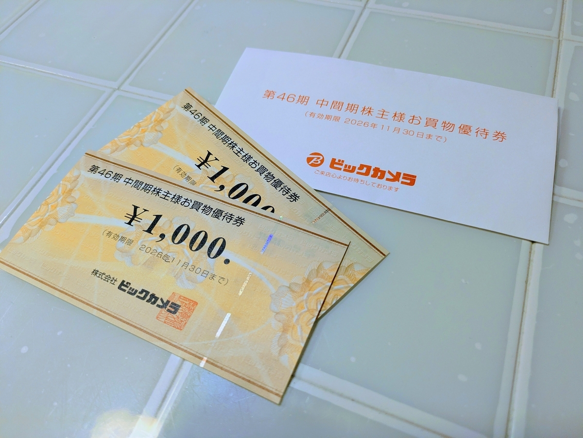 株式会社ビックカメラの株主優待 お買い物優待券