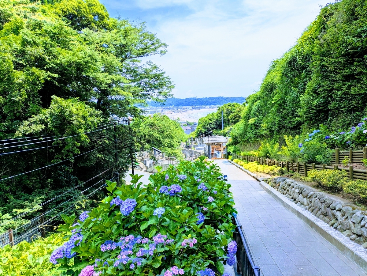鎌倉成就院 東結界への下り道。参道には紫陽花。奥には由比ガ浜が見えている。