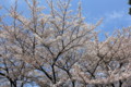20100410121230