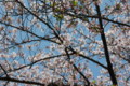 20100410121400