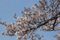 20100410121409