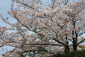 20100410121425