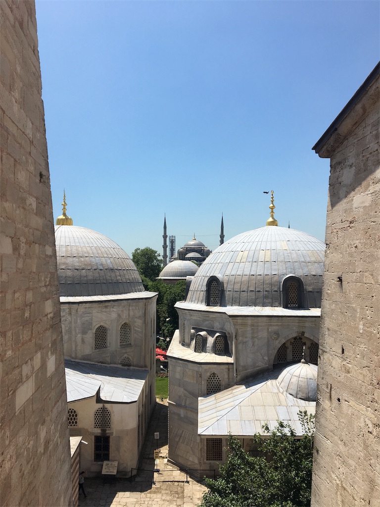 f:id:apoptosis777:20190804051550j:image f:id:apoptosis777:20190804051550j:image