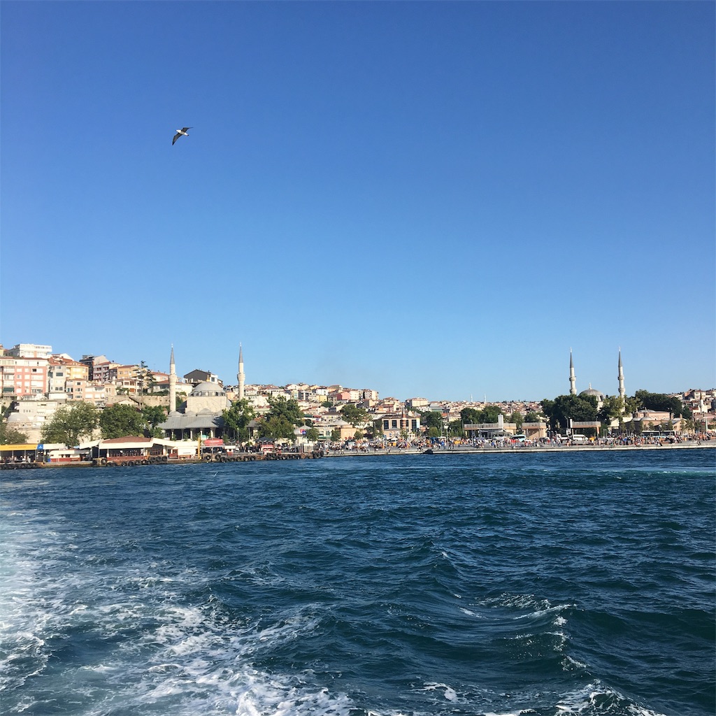 f:id:apoptosis777:20190804051616j:image f:id:apoptosis777:20190804051616j:image