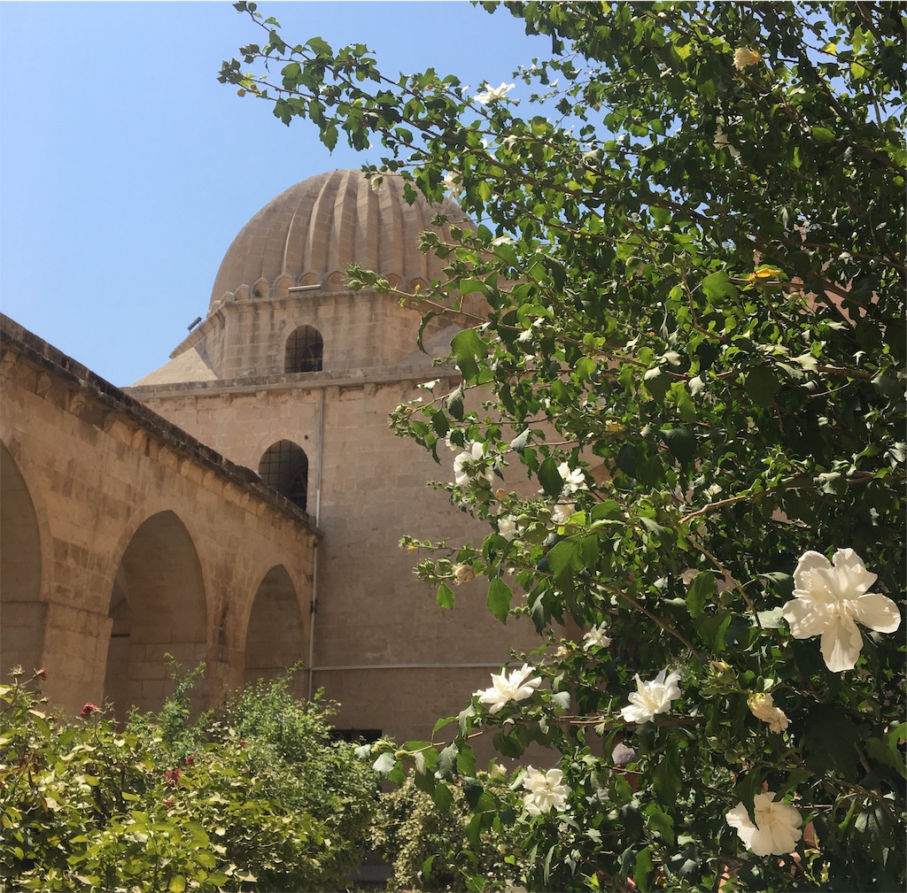 f:id:apoptosis777:20190906175235j:image