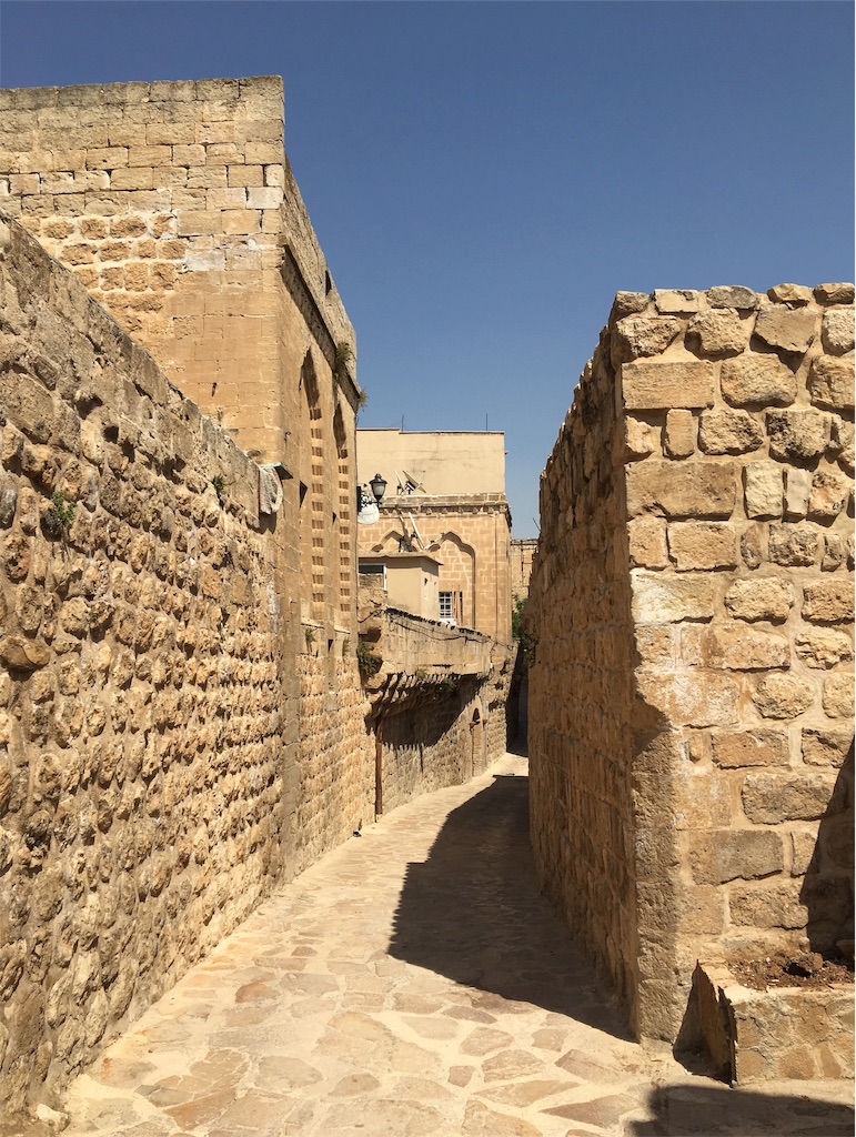 f:id:apoptosis777:20190906175317j:image